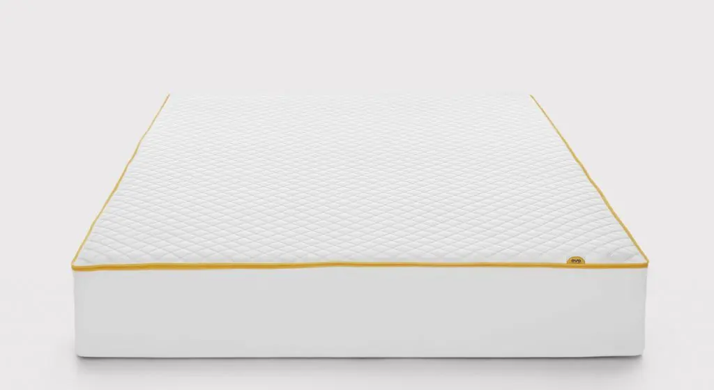 eve premium mattress cover