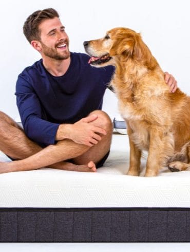 panda hybrid mattress pro review