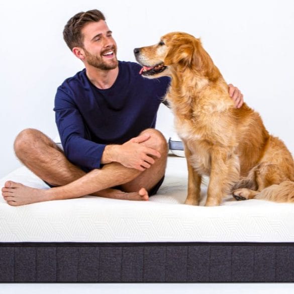 panda hybrid mattress pro review